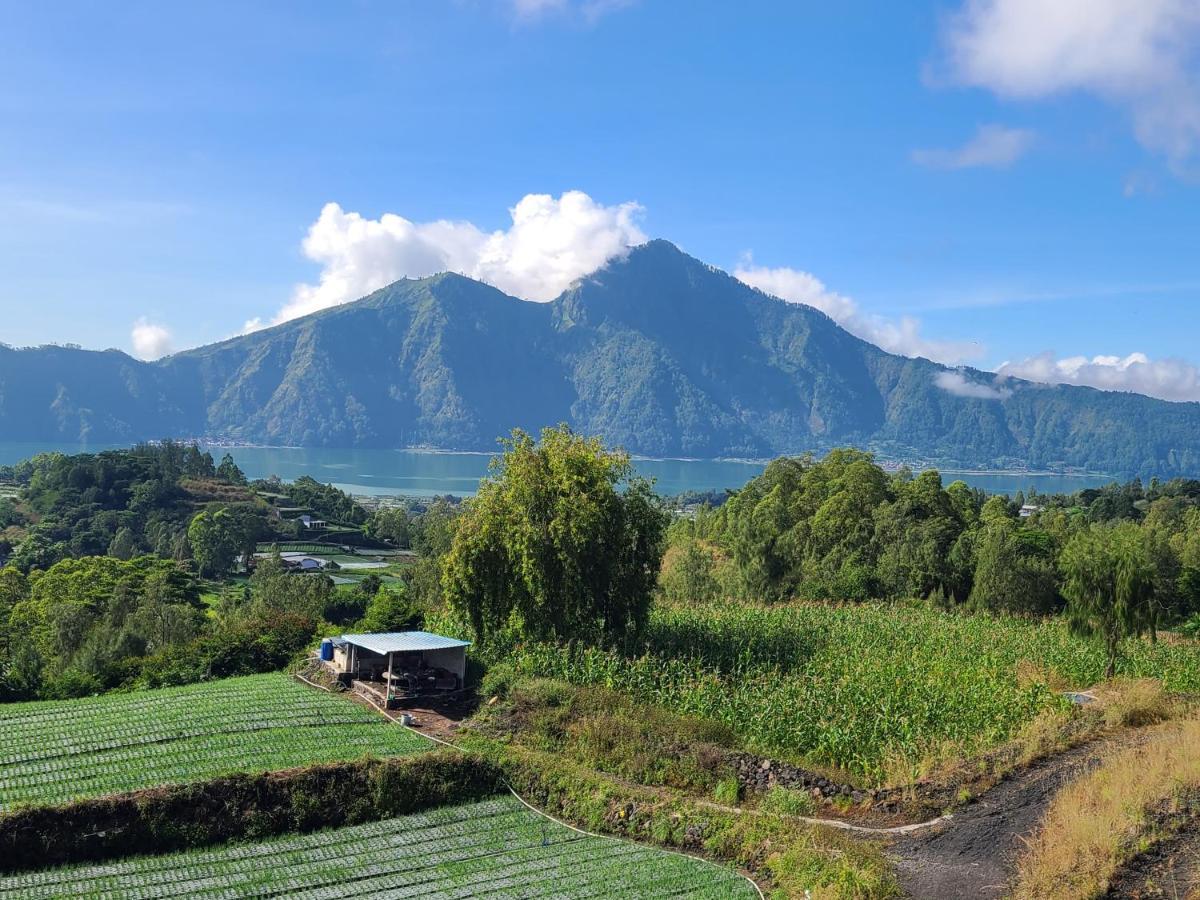 Batur Lake View Kintamani Eksteriør bilde